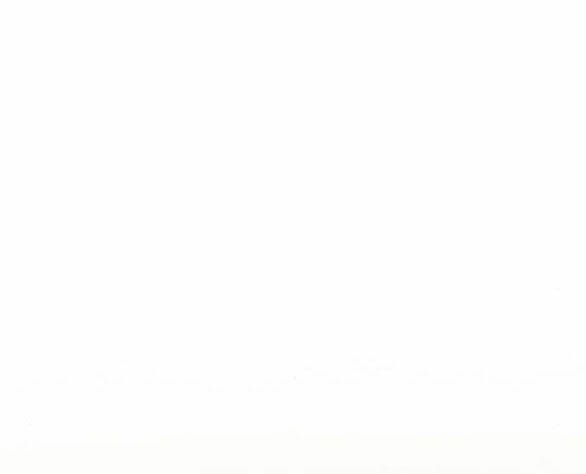 Serena Chapter 48.2 - Trang 2