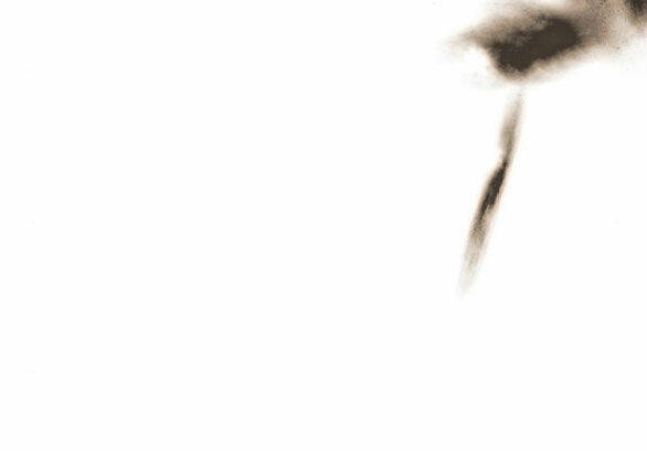 Serena Chapter 48.2 - Trang 2