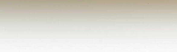 Serena Chapter 48.2 - Trang 2