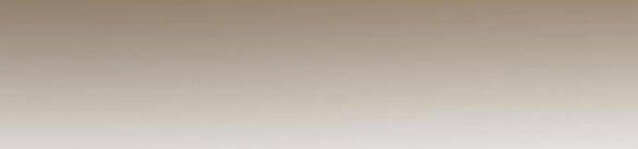 Serena Chapter 48.2 - Trang 2