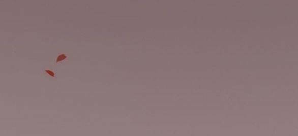 Serena Chapter 49.2 - Trang 2