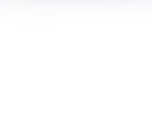 Serena Chapter 50.1 - Trang 2