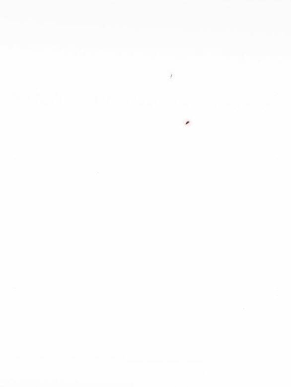 Serena Chapter 51.1 - Trang 2