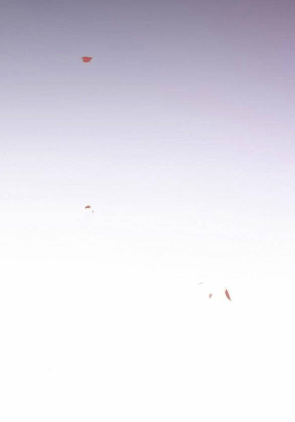 Serena Chapter 52.1 - Trang 2