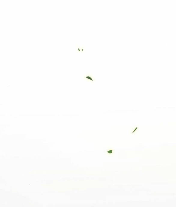 Serena Chapter 52.2 - Trang 2