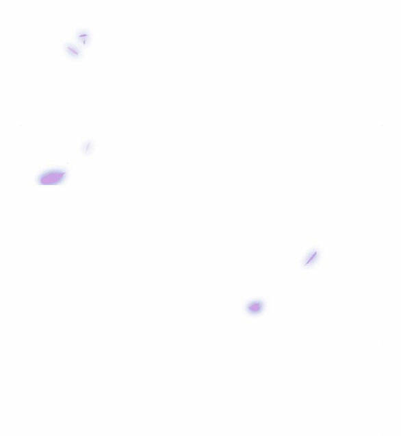 Serena Chapter 52.2 - Trang 2