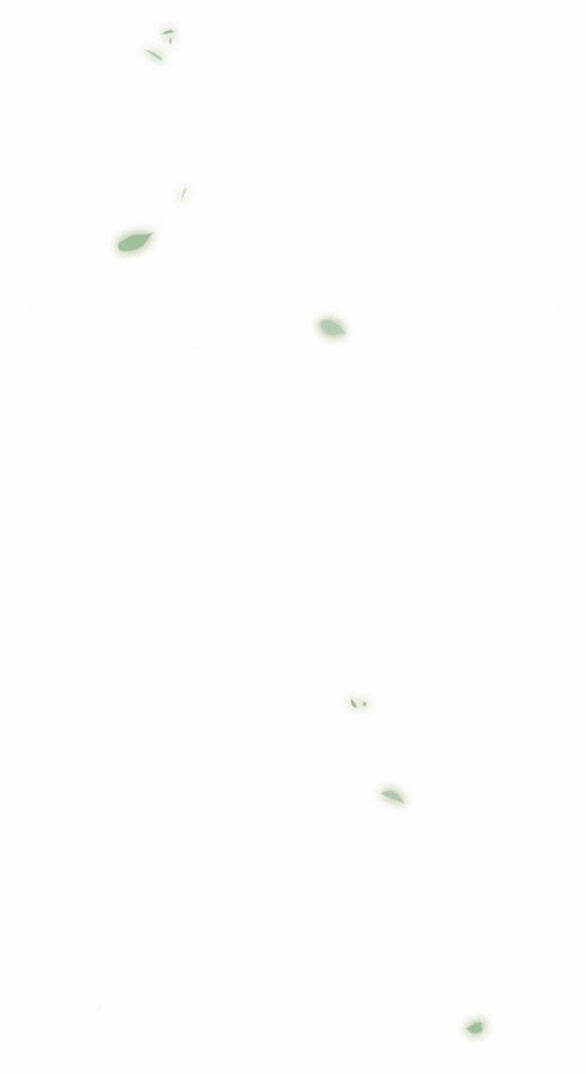 Serena Chapter 53.1 - Trang 2