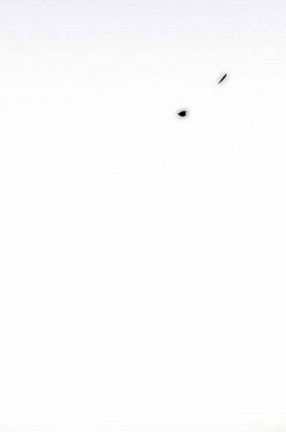 Serena Chapter 55.2 - Trang 2