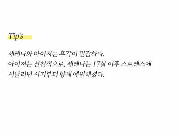 Serena Chapter 56.2 - Trang 2