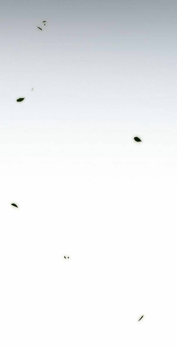 Serena Chapter 57.1 - Trang 2