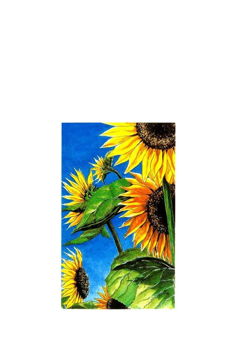 Shamo Chapter 10 - Trang 2