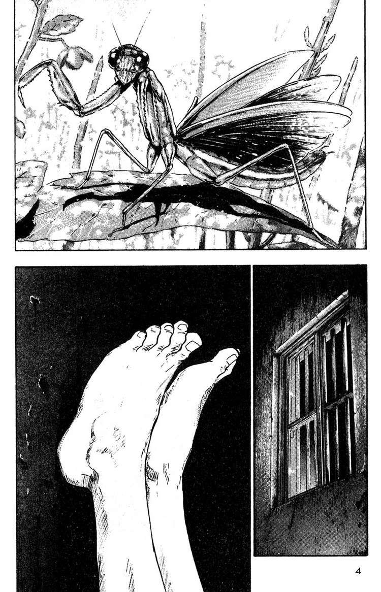 Shamo Chapter 11 - Trang 2