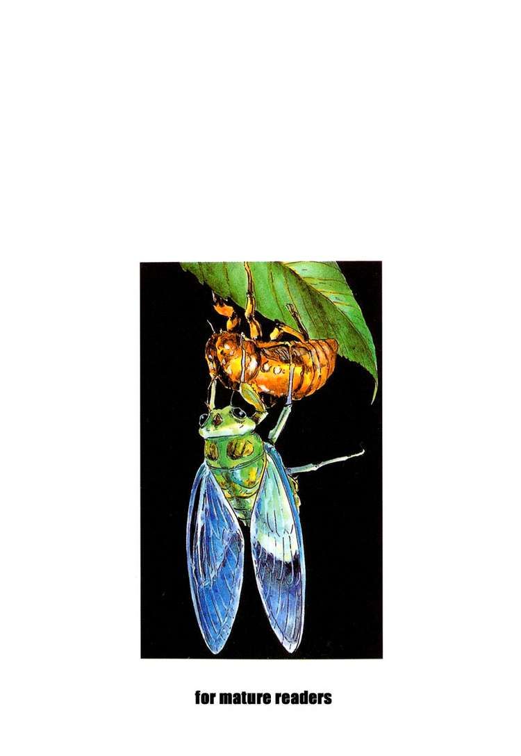 Shamo Chapter 20 - Trang 2