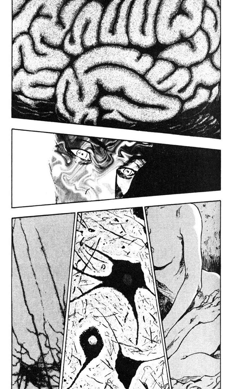 Shamo Chapter 23 - Trang 2