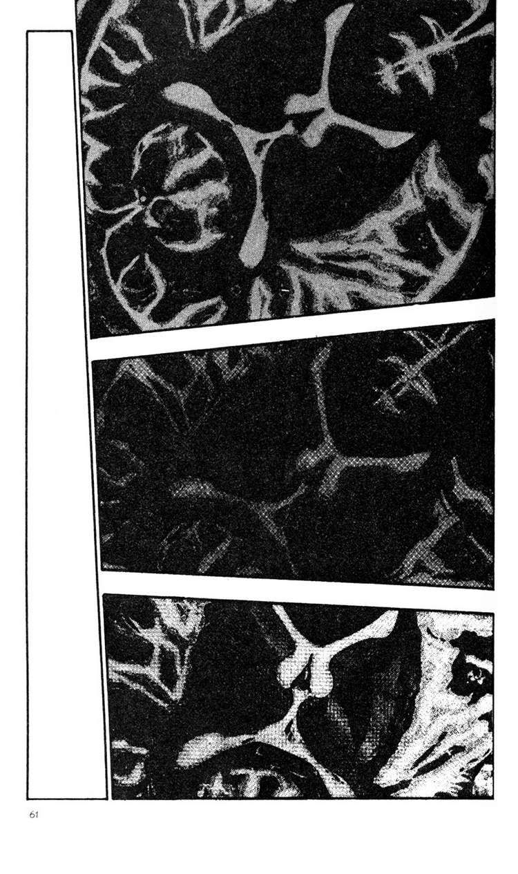 Shamo Chapter 23 - Trang 2