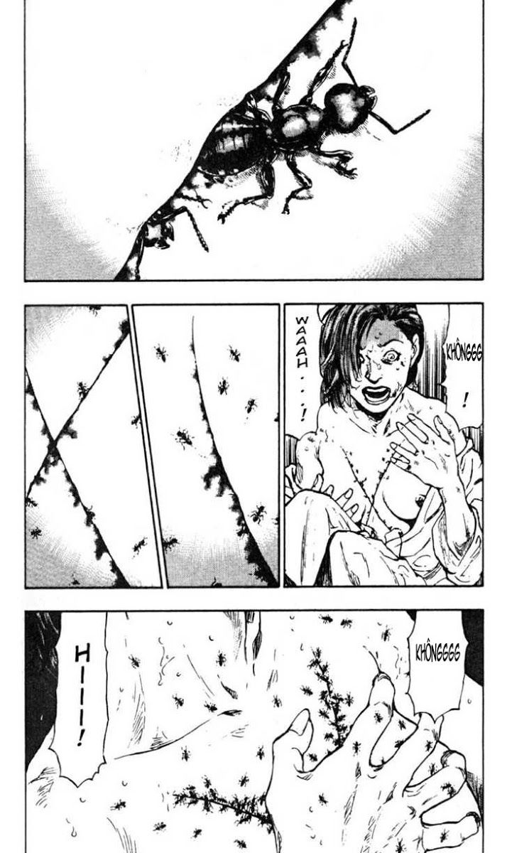 Shamo Chapter 26 - Trang 2