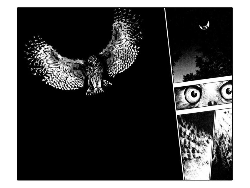 Shamo Chapter 53 - Trang 2