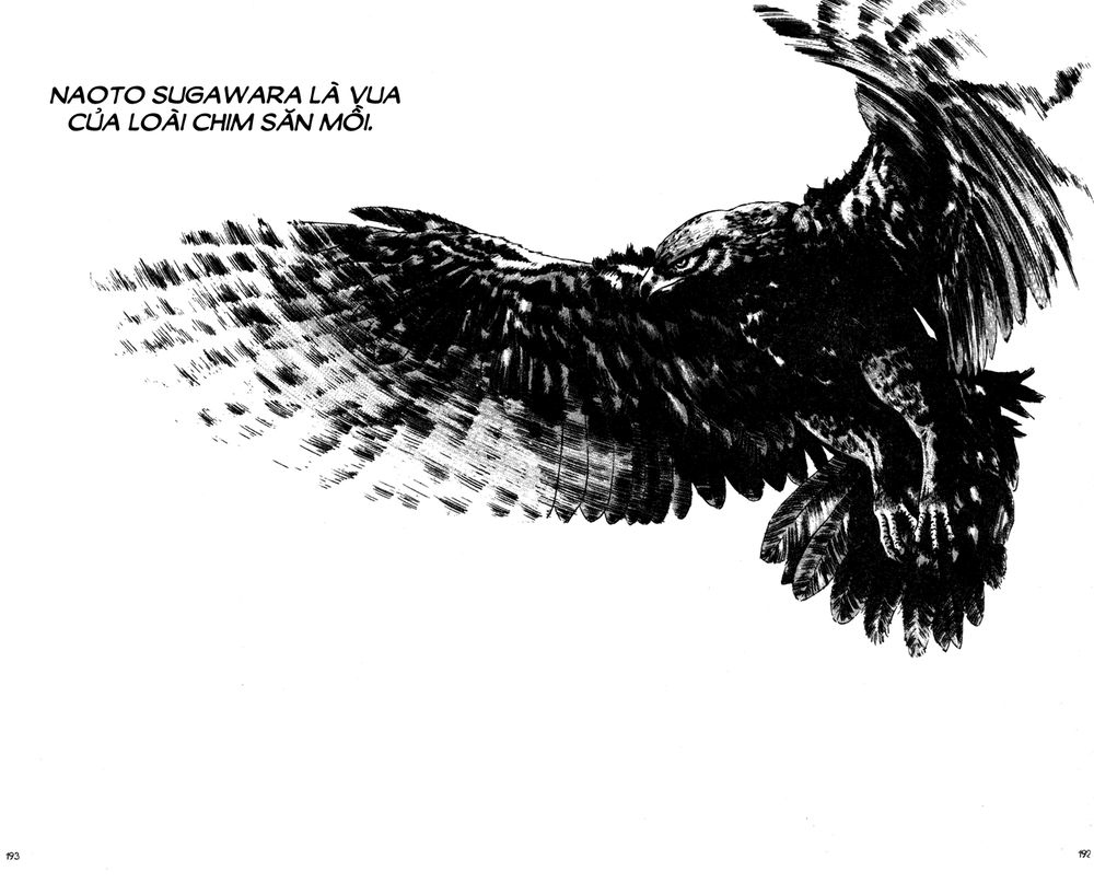 Shamo Chapter 70 - Trang 2