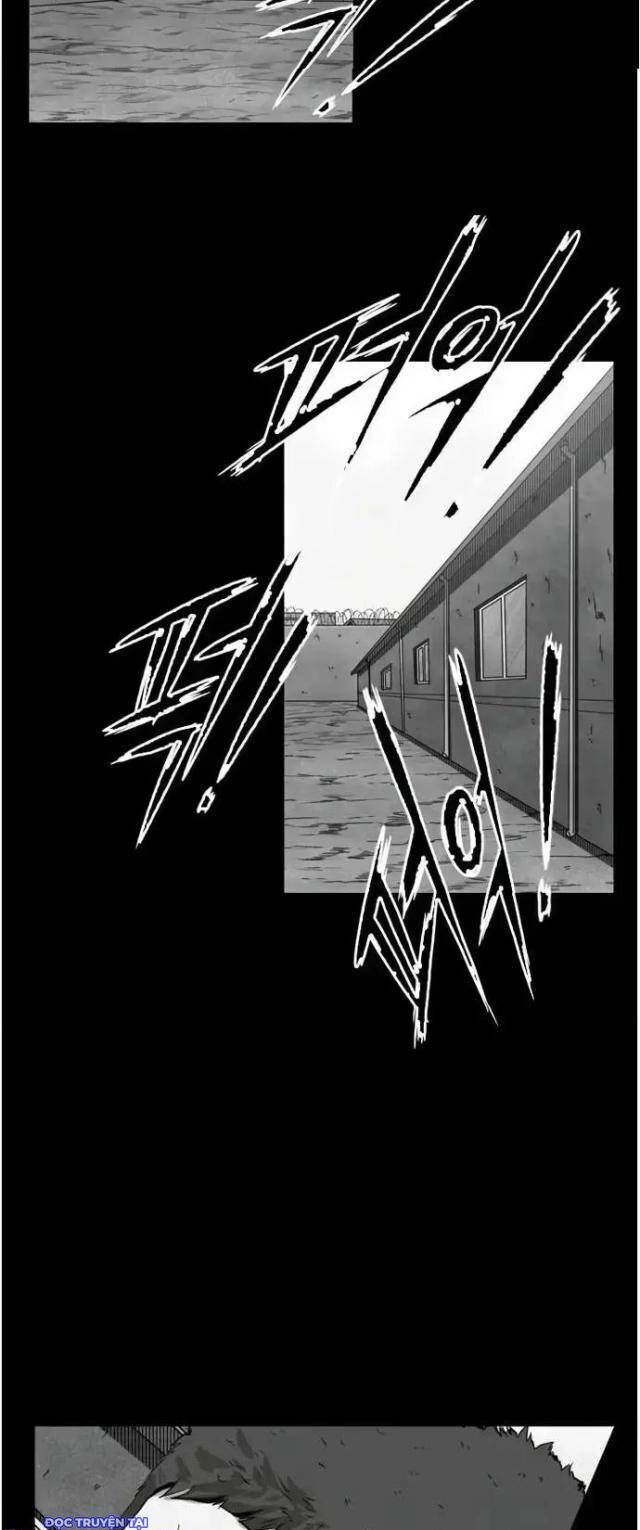 Shark – Cá Mập Chapter 109 - Trang 2