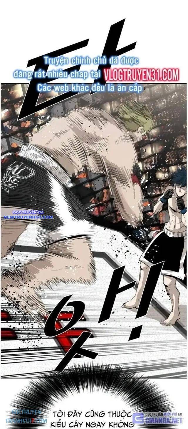 Shark – Cá Mập Chapter 144 - Trang 2