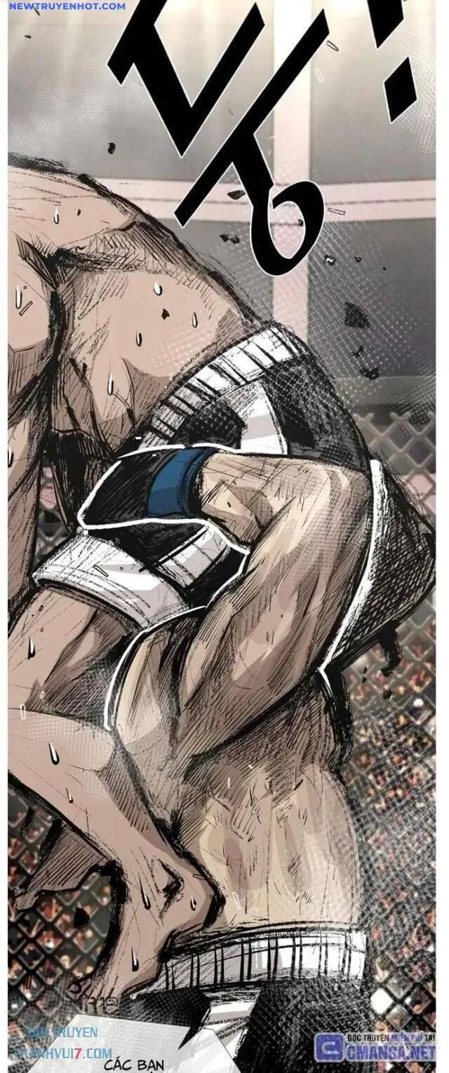 Shark – Cá Mập Chapter 155 - Trang 2