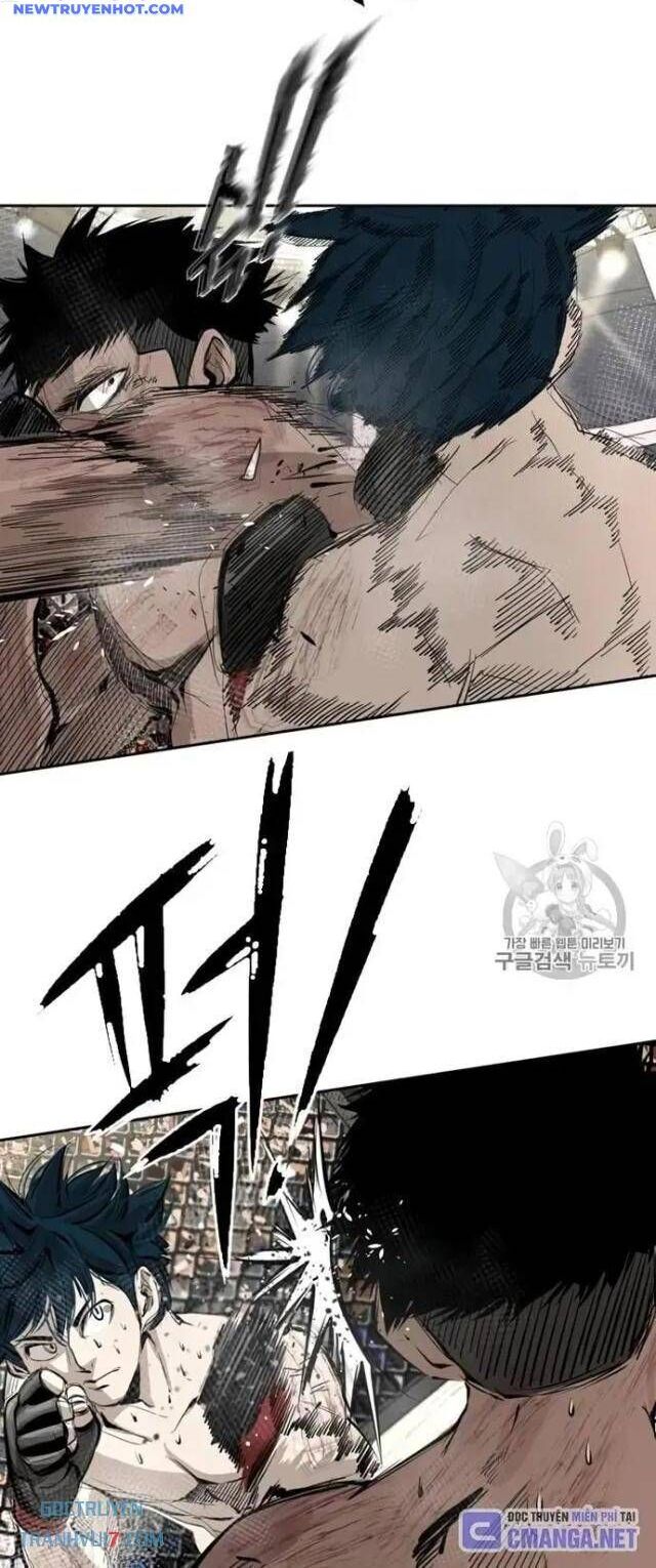 Shark – Cá Mập Chapter 162 - Trang 2