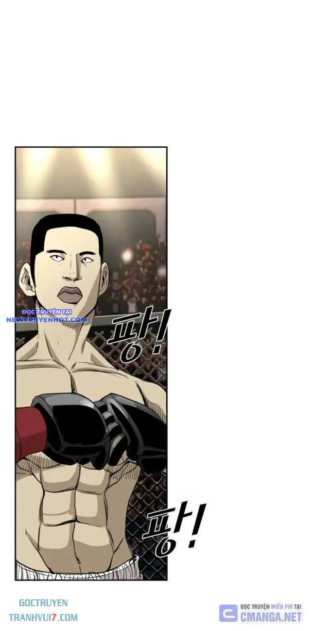 Shark – Cá Mập Chapter 174 - Trang 2