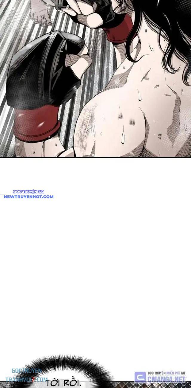 Shark – Cá Mập Chapter 184 - Trang 2