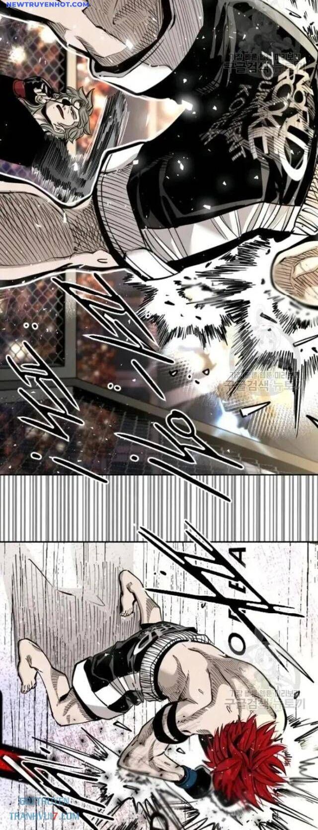 Shark – Cá Mập Chapter 204 - Trang 2