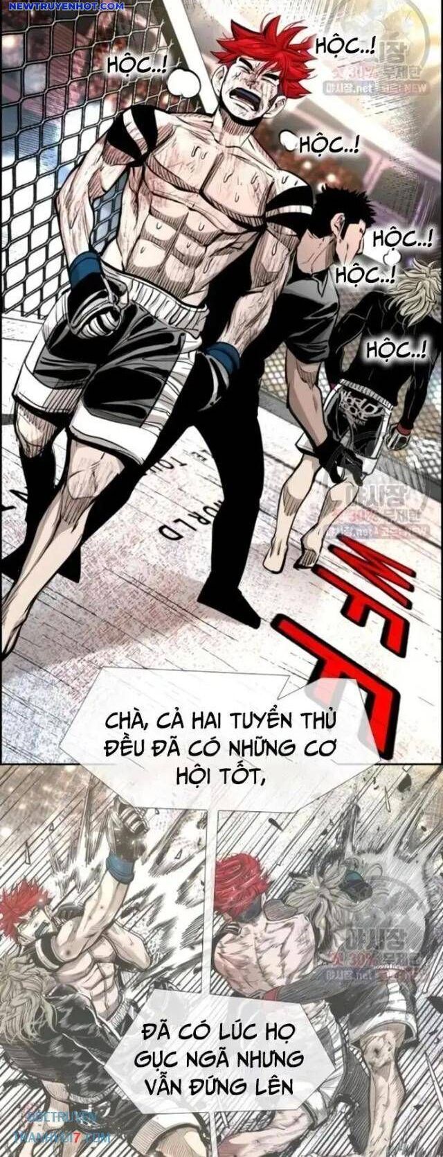 Shark – Cá Mập Chapter 210 - Trang 2