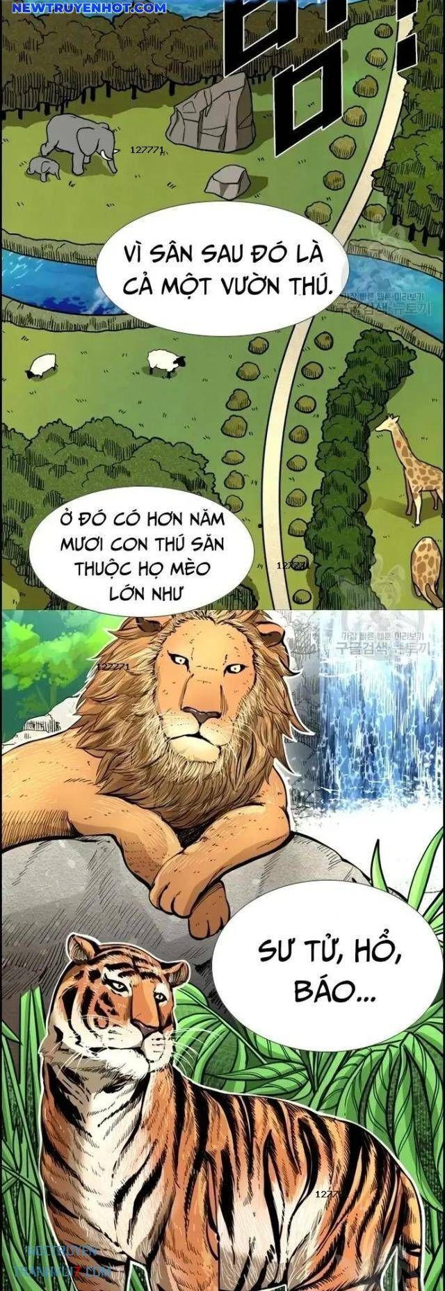 Shark – Cá Mập Chapter 222 - Trang 2