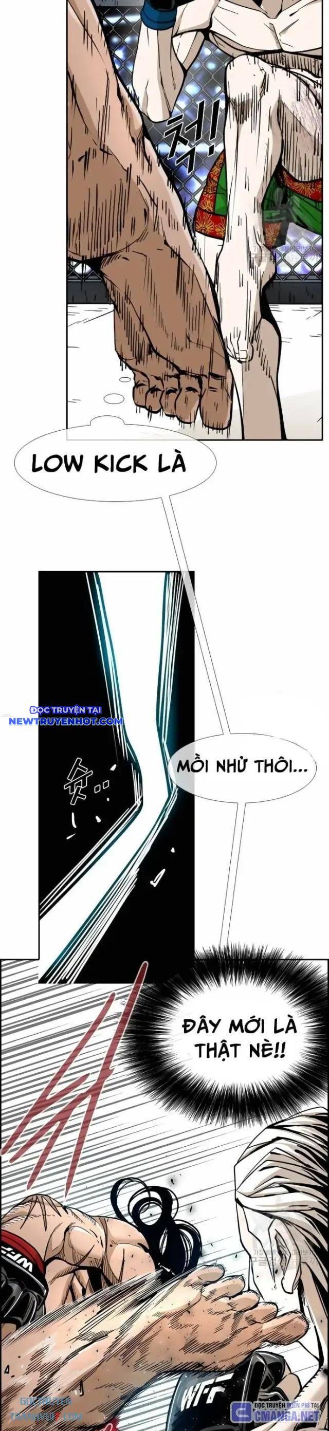 Shark – Cá Mập Chapter 244 - Trang 2