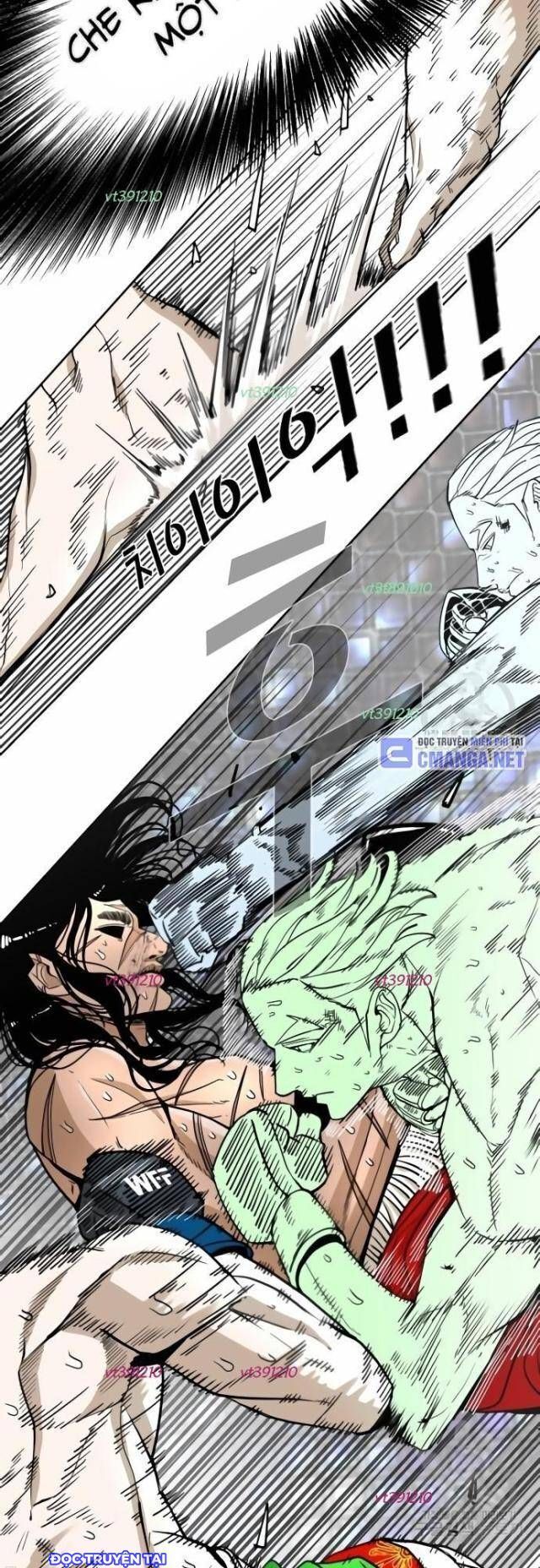 Shark – Cá Mập Chapter 247 - Trang 2