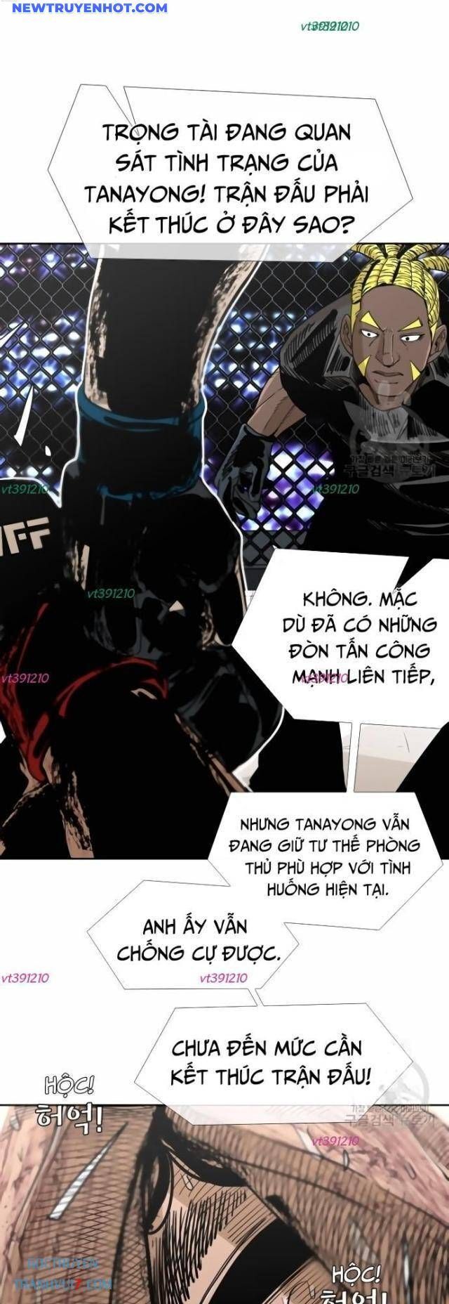 Shark – Cá Mập Chapter 247 - Trang 2