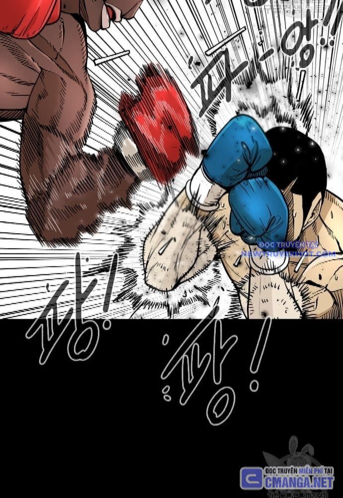 Shark – Cá Mập Chapter 256 - Trang 2