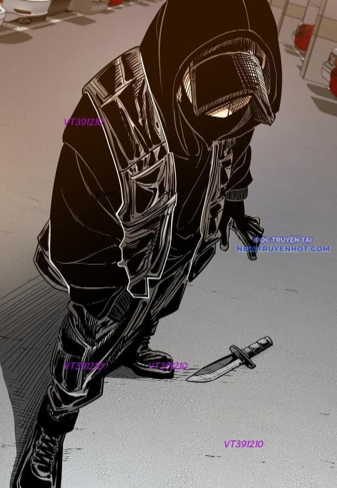 Shark – Cá Mập Chapter 257 - Trang 2