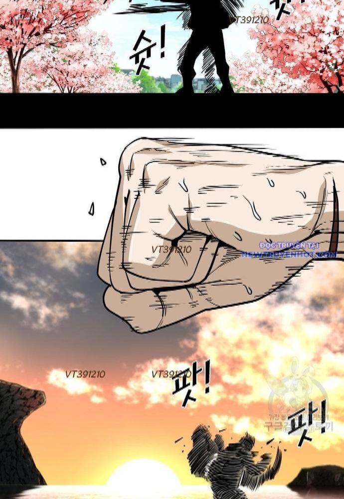 Shark – Cá Mập Chapter 257 - Trang 2