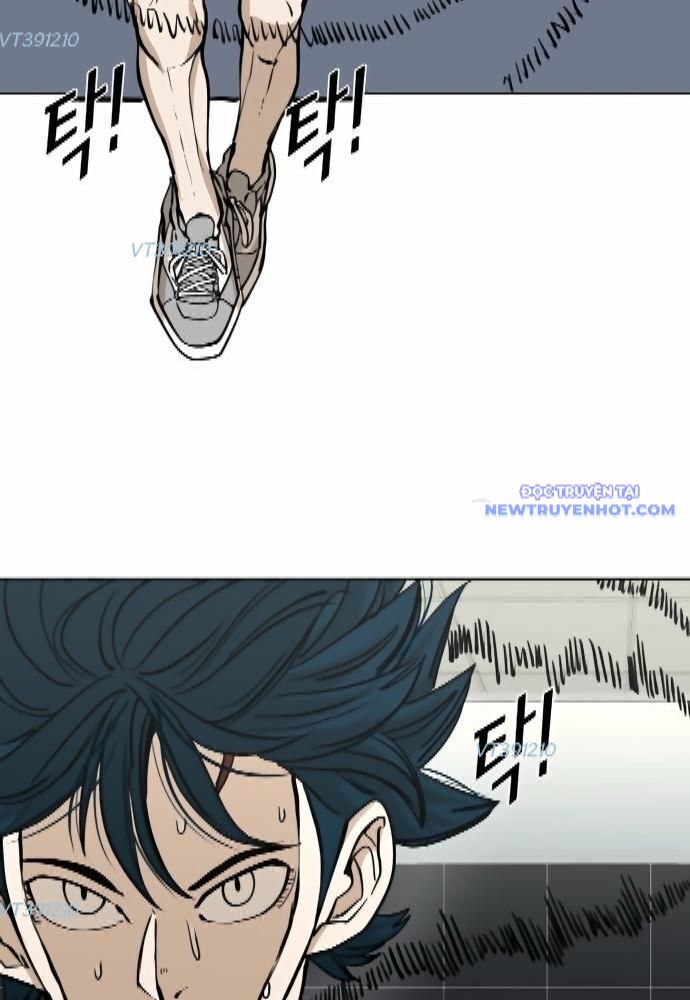 Shark – Cá Mập Chapter 259 - Trang 2