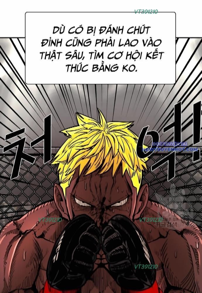 Shark – Cá Mập Chapter 261 - Trang 2