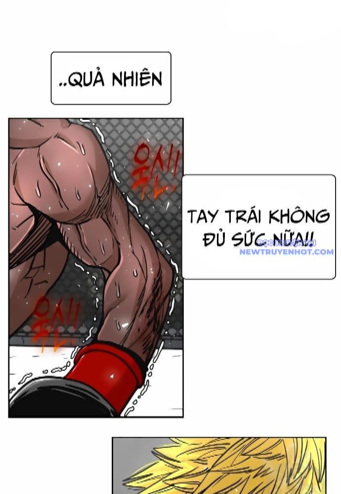 Shark – Cá Mập Chapter 262 - Trang 2