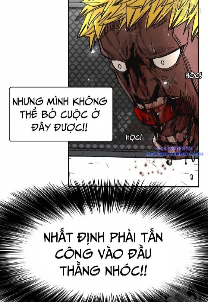 Shark – Cá Mập Chapter 262 - Trang 2