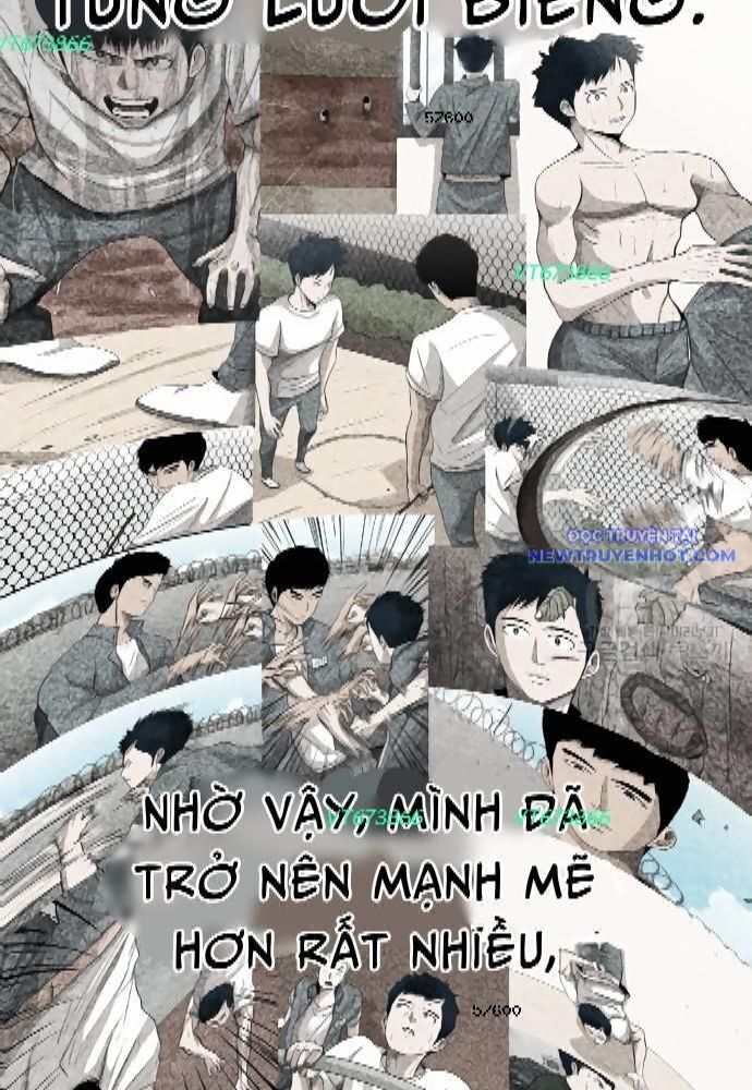 Shark – Cá Mập Chapter 273 - Trang 2