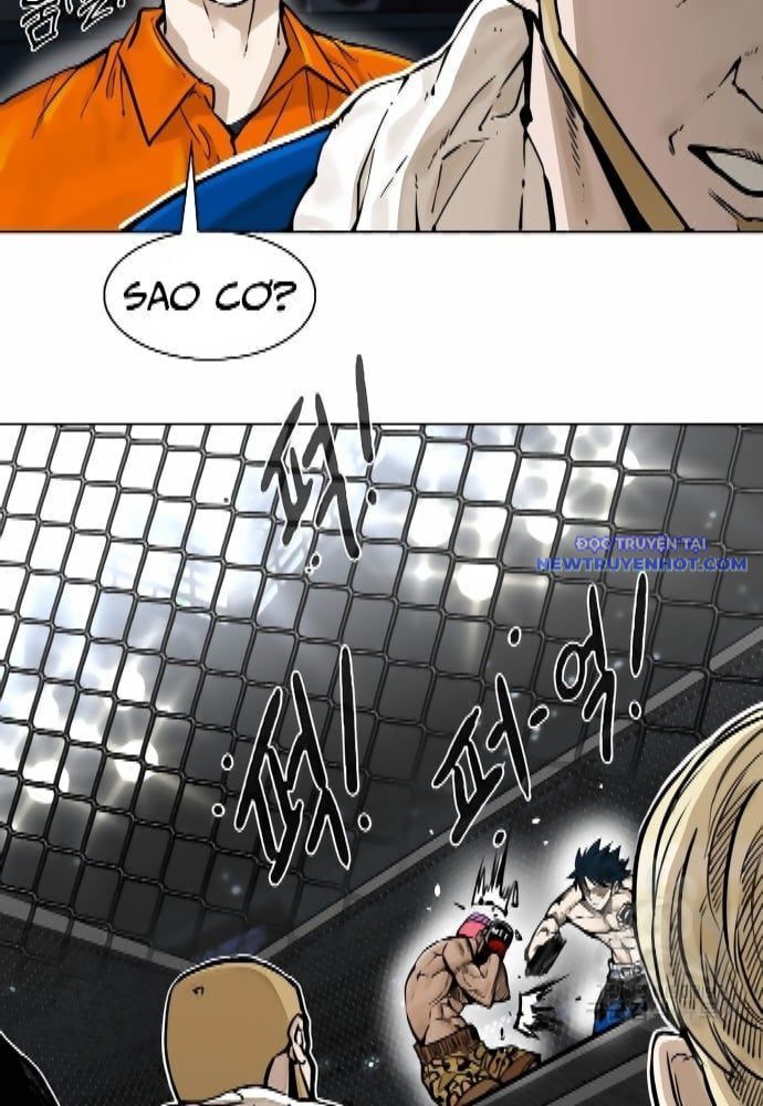 Shark – Cá Mập Chapter 276 - Trang 2