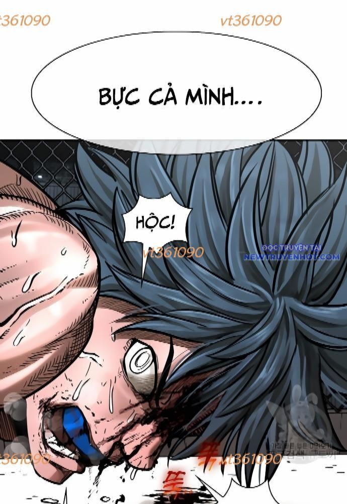 Shark – Cá Mập Chapter 278 - Trang 2