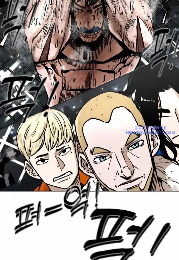 Shark – Cá Mập Chapter 279 - Trang 2