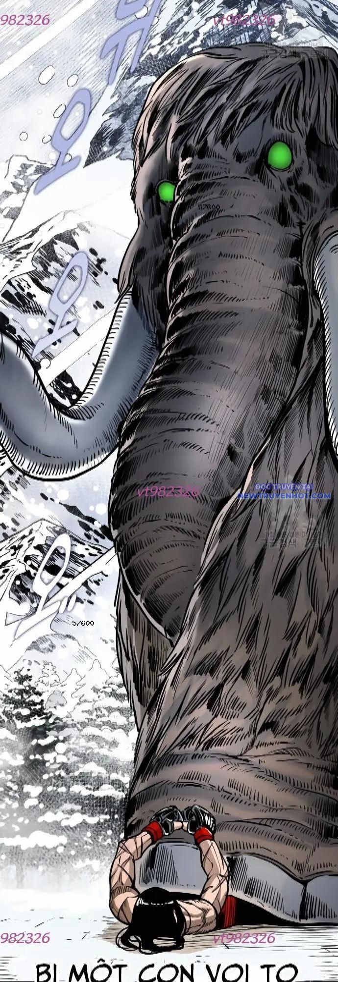 Shark – Cá Mập Chapter 284 - Trang 2