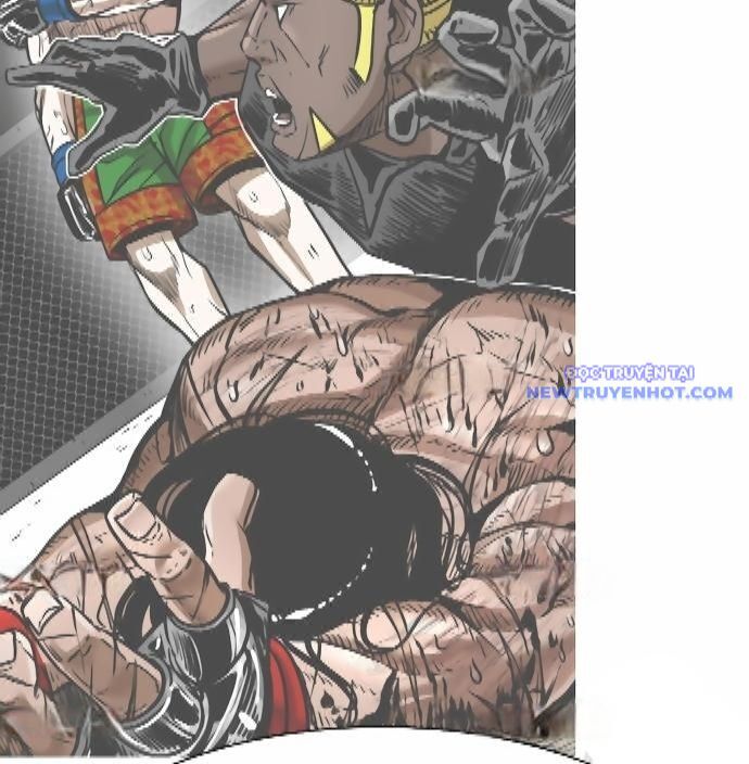 Shark – Cá Mập Chapter 290 - Trang 2