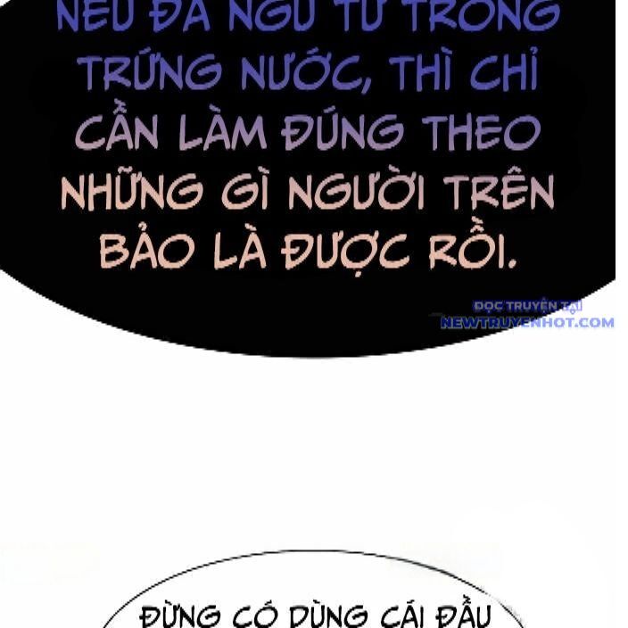 Shark – Cá Mập Chapter 291 - Trang 2