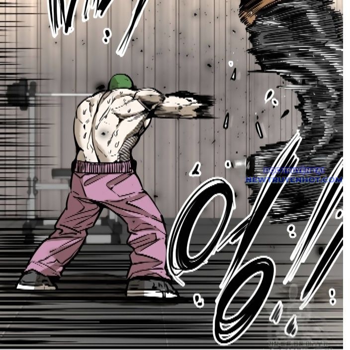 Shark – Cá Mập Chapter 294 - Trang 2