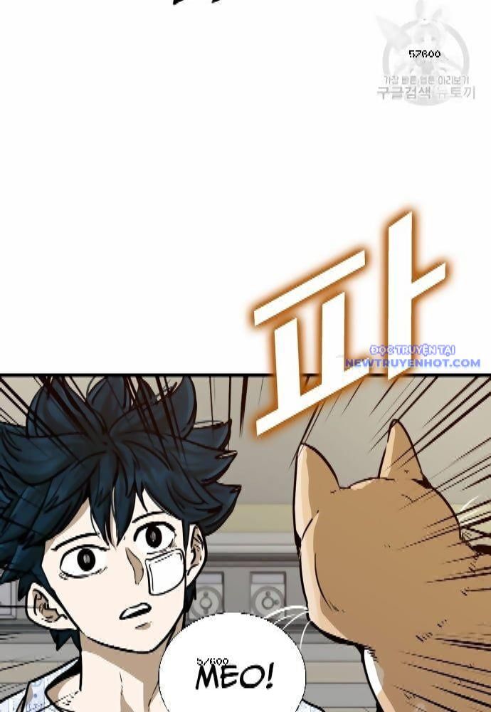 Shark – Cá Mập Chapter 295 - Trang 2